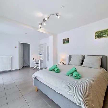 La Tribu, Centre Ville, Jardin, Parking, Wifi La Roche-sur-Yon